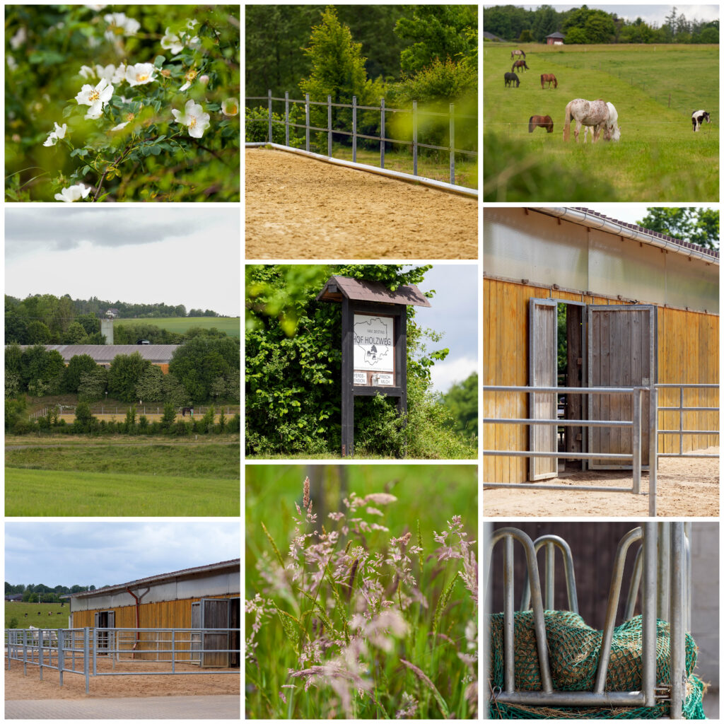 Collage Hof Holzweg