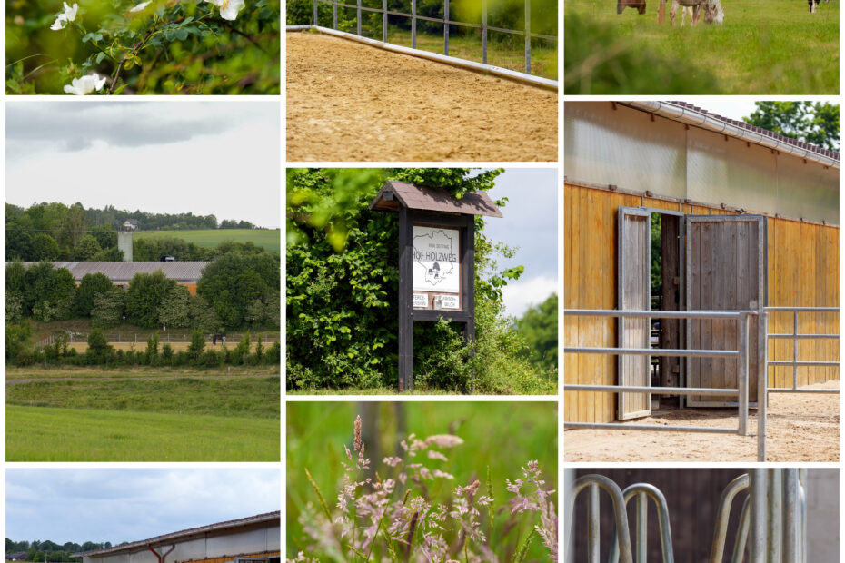 Collage Hof Holzweg