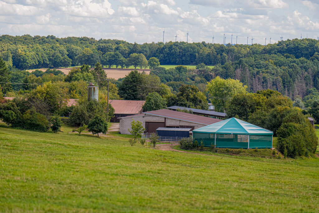 Blick auf den Hof Holzweg